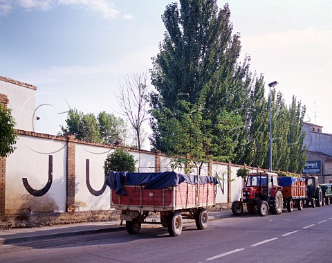 Grapes arriving at Bodegas Julian Chivite Cintrunigo Navarra Spain