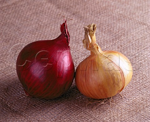 2 types of onion