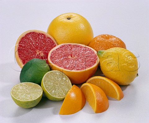 Citrus fruit  grapefruit Florida red grapefruit   lemon lime orange clementine
