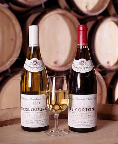 Corton and CortonCharlemagne Grand Cru Burgundies   in the cellars of   Bouchard Pre et Fils   Beaune Cte dOr France