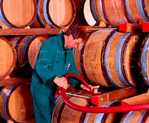 Racking wine in the cellars of Rivera   Andria Puglia Italy   Castel del Monte