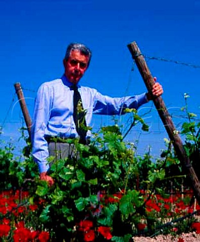 Carlo de Corato in Pinot Bianco vineyard on the   Rivera Estate near Andria Puglia Italy   Castel del Monte