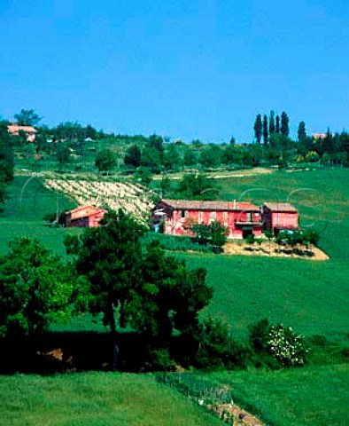 Small vineyard and farmhouse at Matlica   Marches Italy  Verdicchio di Matlica DOC