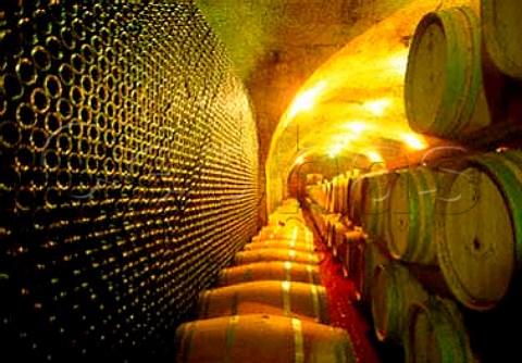 Maturation cellar of Cape Chamonix winery Franschhoek South Africa Paarl WO