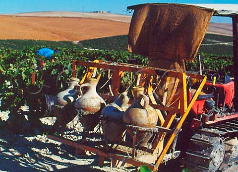 Water vessels for the pickers to drink from whilst   harvesting in vineyard on Emilio Lustaus   Montegillilo Estate north of Jerez Andaluca Spain   Sherry