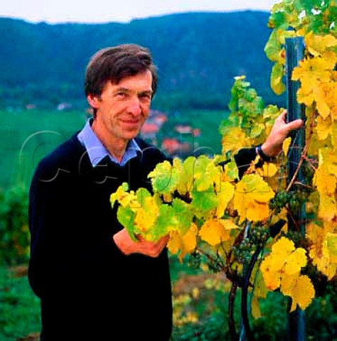 Leo Alzinger in his vineyard at Unterloiben  Austria   Wachau