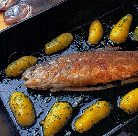 Austria Baked trout with parsley potatoes   Gebratene Forelle