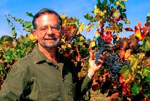 Paul Draper of Ridge Vineyards with   Cabernet Sauvignon grapes in his   Montebello vineyard Cupertino   Santa Clara Co California   Santa Cruz Mountains AVA