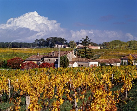 Autumnal vineyards surround the village of Sauternes with Chteau Guiraud beyond   Gironde France Sauternes  Bordeaux