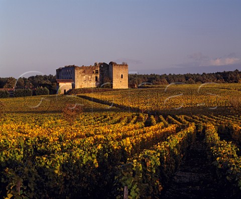 Chteau de Fargues surrounded by its vineyard  owned by the LurSaluces family  Fargues Gironde France  Sauternes  Bordeaux