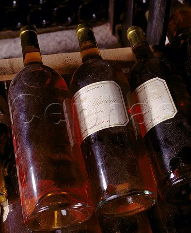 Magnums of 1967 in the vintage bottle cellar of   Chteau dYquem Sauternes Gironde France