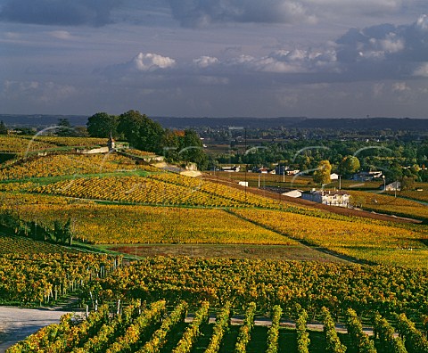 View from vineyard of Chteau Ausone to   Chteau Pavie and its vineyards Stmilion Gironde France  Saintmilion  Bordeaux