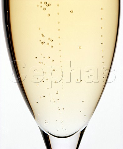 Flute of Champagne  