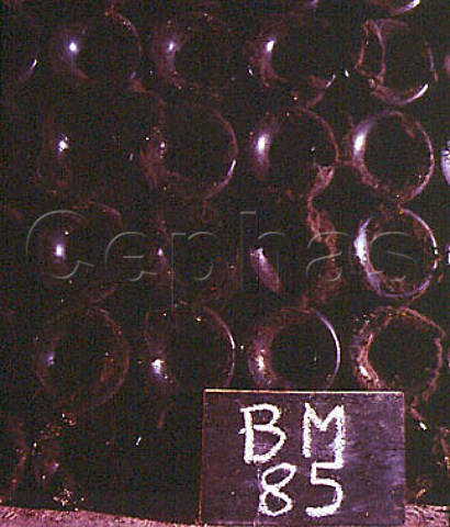 Bonnes Mares 1985 in the vintage bottle cellar of   Domaine Dujac MoreyStDenis Cte dOr France    Cte de Nuits
