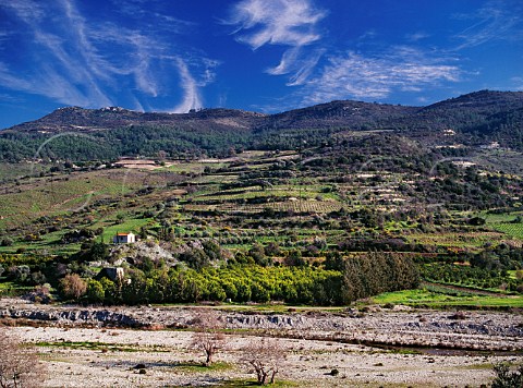 View across the Diarizos Valley to the chapel of Agios Savvas surrounded by vineyards citrus and olive trees Near Agios Georgios Paphos Disrict Cyprus