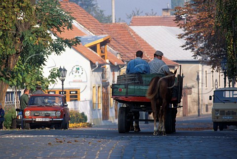 Horse and cart in Tokaj Hungary