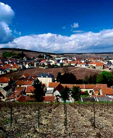 Le MesnilsurOger and its small walled vineyard   Clos du Mesnil in midApril Owned by Krug its   Chardonnay grapes are used to make the worlds most   expensive Champagne  Marne France  Cte des Blancs  Champagne