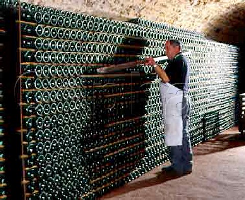 Using a piece of wood to ensure that bottles which have been stacked to age sur lattes are aligned  Champagne Salon Le MesnilsurOger Marne France