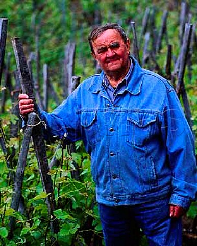 Georges Vernay in his Viognier vines on the Coteau de Vernon from which are made his top wine  Condrieu Rhne France