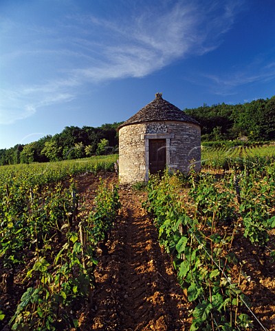Traditional cabotte in Les Vergelesses   vineyard SavignylsBeaune Cte dOr France  Cte de Beaune Premier Cru