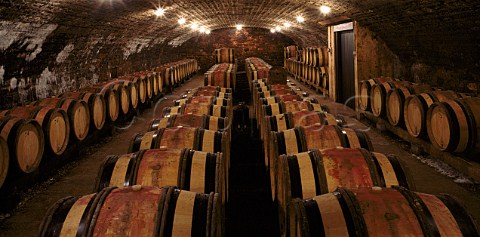 Barrel cellar of Domaine Armand Rousseau  GevreyChambertin Cte dOr France Cte de Nuits