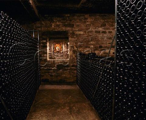 Bottle ageing cellar of Domaine Armand Rousseau  GevreyChambertin Cte dOr France