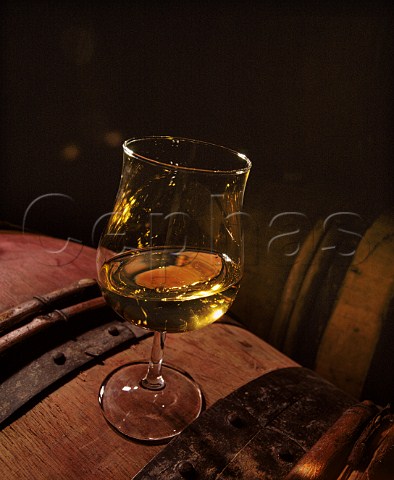 Glass of Chardonnay on barrel in the cellar of Domaine Chandon de Briailles SavignylsBeaune Cte dOr France  Cte de Beaune