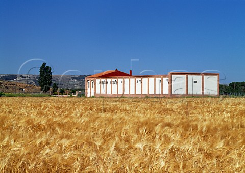 Bodegas Reyes viewed over barley field  Peafiel Castilla y Len Spain Ribera del Duero