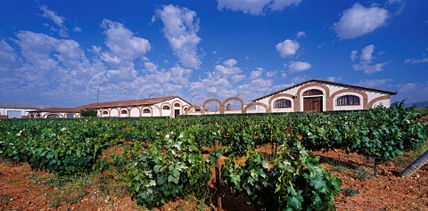 Bodegas Faria and its vineyard Toro Castilla y Len Spain  DO Toro