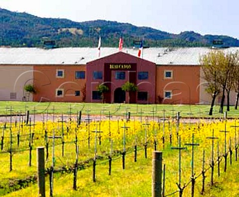Beaucanon Winery with springtime mustard   Rutherford Napa Co California