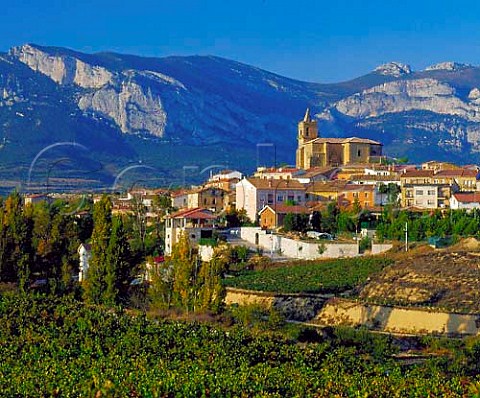 Vineyard below the village of Navaridas with the   Sierra de Cantabria in the distance Alava Spain  Rioja Alavesa
