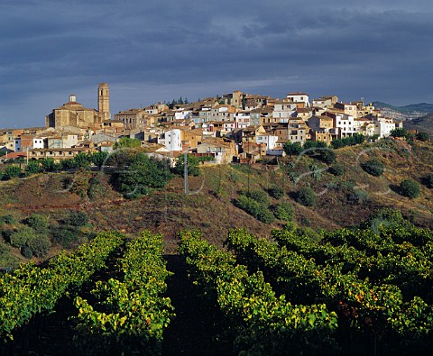 Village of Gratallops viewed over vineyard of Alvaro Palacios Catalonia Spain  DO Priorato