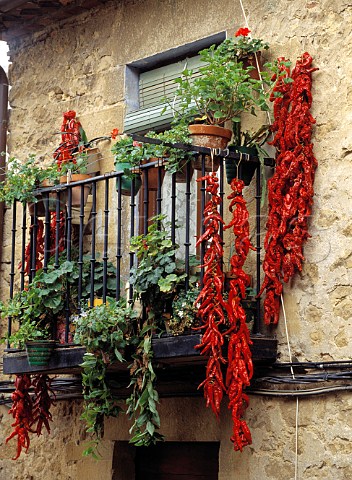 Peppers hanging up to dry on balcony of house in   Laguardia Alava Spain   Rioja Alavesa