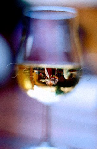 Glass of wine on table at Heurigen   Stippert Ottakring Vienna Austria