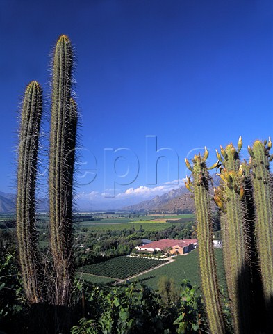 View over the Don Maximiano Estate of Errazuriz in    the Aconcagua Valley Chile