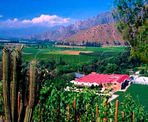 View over the Don Maximiano Estate of Errazuriz in   the Aconcagua Valley Chile