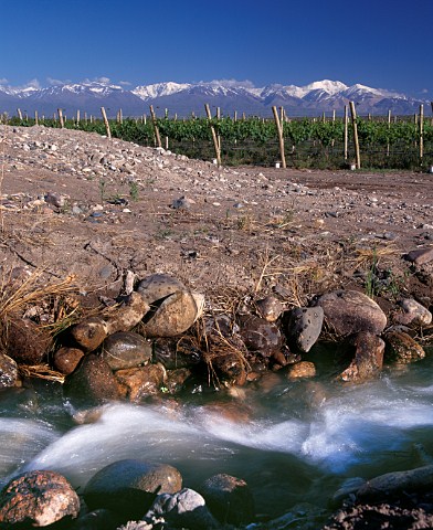 Irrigation channel in Chardonnay vineyard of Nicolas Catena at an altitude of around 1450 metres in the Tupungato Valley   Mendoza province Argentina