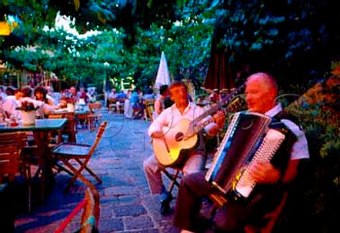 Musicians at   Heurige Mayr am Pfarrplatz   Heiligenstadt Vienna Austria