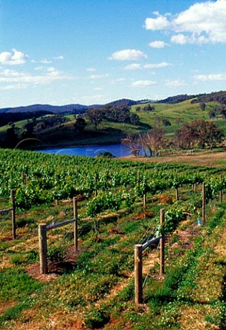 GeorgeIan Estate vineyards Tumbarumba   New South Wales Australia Tumbarumba