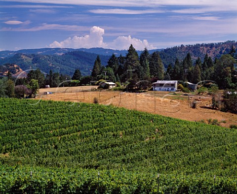 Coxs Rock Vineyard of Abacela Winery  Winston Oregon USA Umpqua Valley AVA