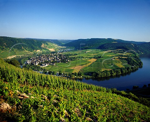 View from the Steffensberg vineyard at Krov   with Wolf on the far bank of the Mosel Erden Germany  Mosel