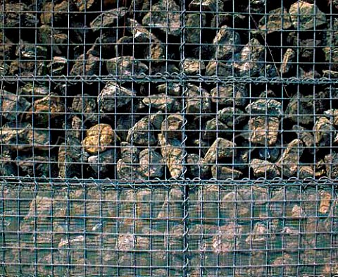 The gabion basket construction of Dominus Winery  Yountville Napa Co California