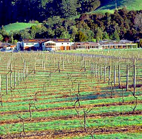 De Redcliffe Winery Mangatawhiri Valley  New Zealand   Waikato