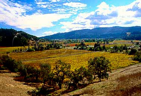 View from Highway 29 near Calistoga   Napa Co California