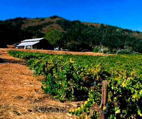 Richard Sanfords original winery by the Sanford and   Benedict Vineyard Buellton Santa Barbara Co   California     Santa Rita Hills AVA  Santa Ynez Valley AVA