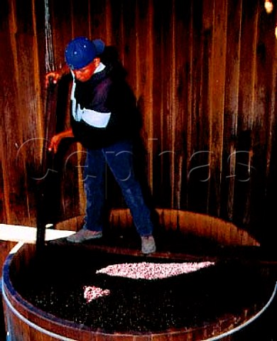 Hand plunging the grapeskin cap on a vat of   Pinot Noir in the original Sanford winery   Buellton Santa Barbara Co California   Santa Rita Hills AVA  Santa Ynez Valley AVA