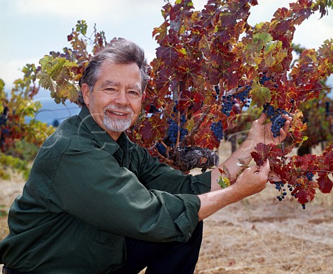 Paul Draper of Ridge Vineyards with an old   lowyielding Cabernet Sauvignon vine in   his Monte Bello Vineyard high in the   Santa Cruz Mountains Cupertino California  Santa   Cruz Mountains AVA