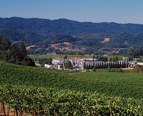 Frei Ranch winery and vineyards of Gallo Sonoma Healdsburg   Sonoma Co California   Dry Creek Valley AVA