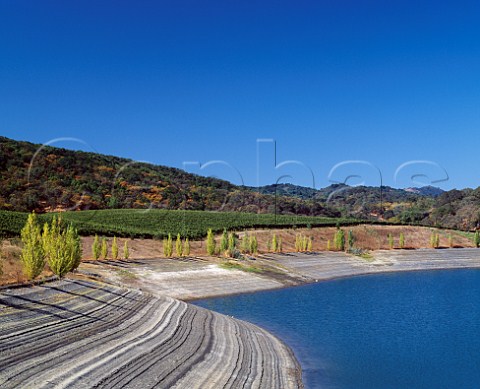 Irrigation lake in Barelli Creek Vineyard of   Gallo Sonoma Healdsburg Sonoma Co California     Alexander Valley AVA