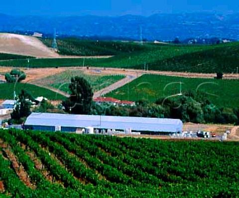 View down to Robert Mondavis Carneros Winery from   their vineyards Napa California   Carneros AVA
